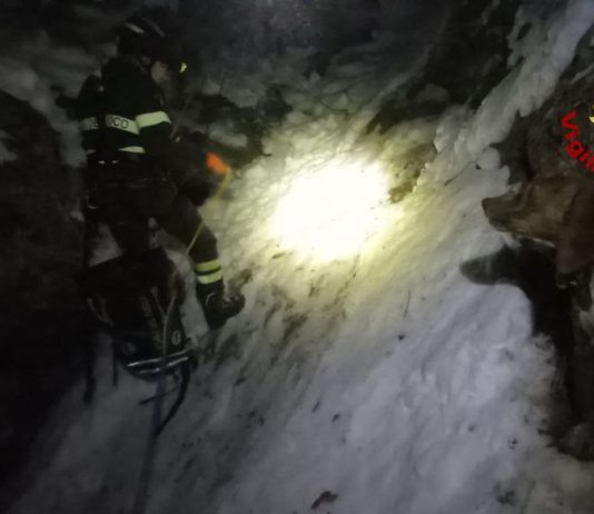 Sarnano. Cani da caccia seguono un cinghiale e finiscono in un canalone: salvati dai vigili del fuoco
