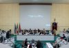 Ancona. “Femminicidi sono soltanto omicidi”. Bufera sulla frase della consigliera comunale FdI