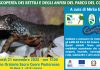 Parco del Conero: seminario sull’Erpetofauna ad Ancona