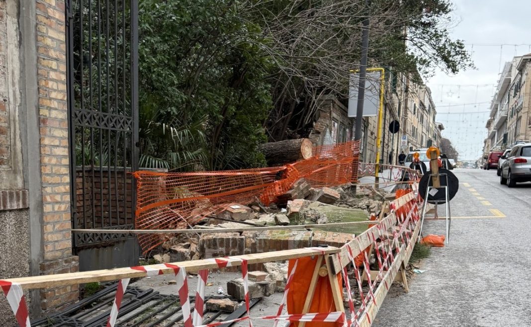 2026-01-07 - Corso Amendola (Ancona) dopo la caduta dell'albero