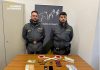 Urbino. La Finanza sequestra 500 grammi di hashish: un arresto