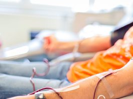 Vicenda plasma, Calcinaro: “Ora attendiamo l’esito della Commissione” – VIDEO