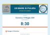 Palombina, “Un mare di pulizia”: AnconAmbiente sostiene la giornata ecologica sulla costa nord
