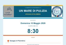 Palombina, “Un mare di pulizia”: AnconAmbiente sostiene la giornata ecologica sulla costa nord