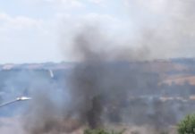 Osimo. Incendio di sterpaglie, evacuate alcune abitazioni