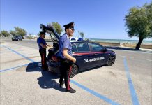 Carabinieri di Ancona: maxi operazione antidroga nel territorio