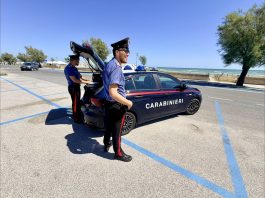Carabinieri di Ancona: maxi operazione antidroga nel territorio