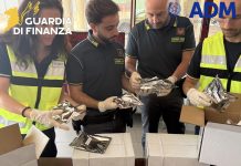 Scoperte 13 tonnellate di fertilizzante illegale dalla Cina