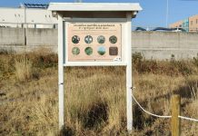 Un piccolo intervento, un grande valore: AnconAmbiente tutela il capitale naturale della costa di Collemarino di Ancona