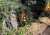 Ripatransone. Con l’auto in una scarpata, un ferito