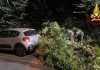 Albero cade su un’auto in contrada San Salvatore, nessun ferito. Notte di super lavoro per i vigili del fuoco nelle Marche