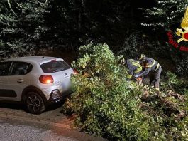 Albero cade su un’auto in contrada San Salvatore, nessun ferito. Notte di super lavoro per i vigili del fuoco nelle Marche