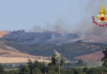 Staffolo. Vasto rogo tra i campi: case salve grazie all’intervento aereo