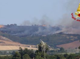 Staffolo. Vasto rogo tra i campi: case salve grazie all’intervento aereo