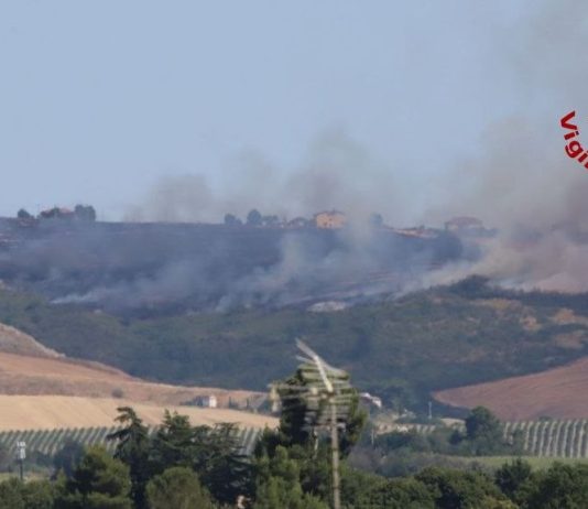 Staffolo. Vasto rogo tra i campi: case salve grazie all’intervento aereo