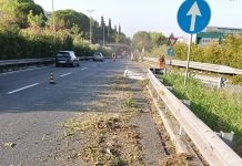 Ancona. La manutenzione dell’Asse Nord/Sud: AnconAmbiente all’opera