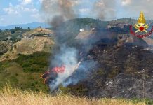 Ad Ascoli incendio a macchia mediterranea, fiamme vicine alle case