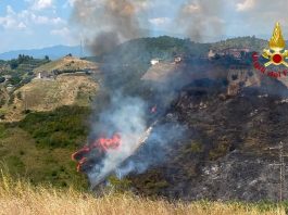 Ad Ascoli incendio a macchia mediterranea, fiamme vicine alle case