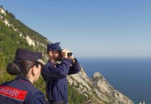 Week end di controlli per i Carabinieri e Forestale: accertamenti in corso per un incendio in via Pergolesi ad Ancona