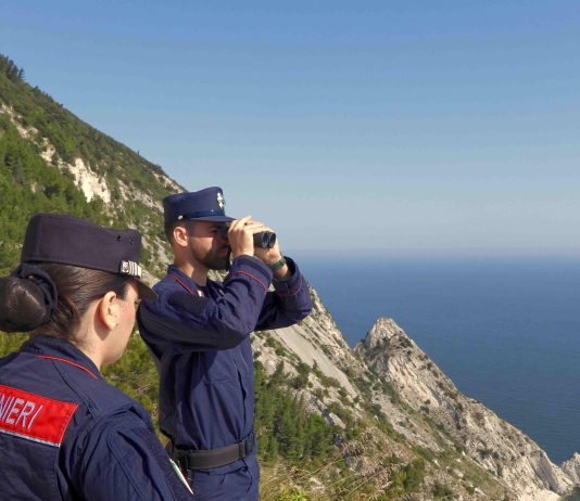 Week end di controlli per i Carabinieri e Forestale: accertamenti in corso per un incendio in via Pergolesi ad Ancona