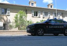 Ostra Vetere. Vendeva false patenti online, denunciato un 40enne