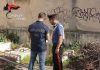 Operazione “Picenum”: misure cautelari per cinque indagati