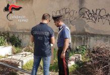 Operazione “Picenum”: misure cautelari per cinque indagati