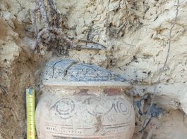 Sant’Elpidio a Mare. Scoperta una tomba picena – FOTO