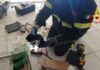 Miagolii dal pozzetto, i Vigili del fuoco salvano un gattino