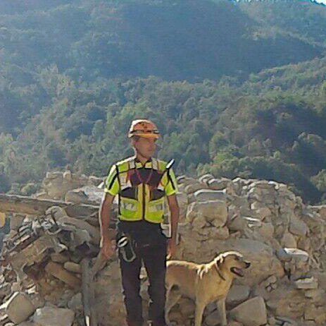 Addio a Marley, il cane eroe dei Vigili del fuoco: dal sisma 2016 al ponte Morandi
