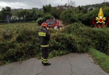 Maltempo, allagamenti e disagi tra Ancona e Falconara