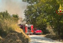 Bosco a fuoco nel Fermano, vigili del fuoco al lavoro