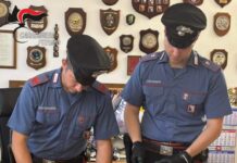 Falerone. In casa con 14 armi non segnalate: denunciato