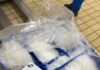 Guardia costiera: controlli sulla filiera della pesca, sequestrati 140 kg di prodotto ittico
