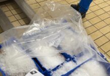 Guardia costiera: controlli sulla filiera della pesca, sequestrati 140 kg di prodotto ittico