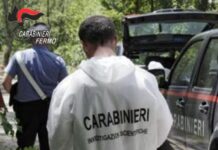 Prostituta rapinata, uomo denunciato dopo nove anni grazie ad analisi del dna